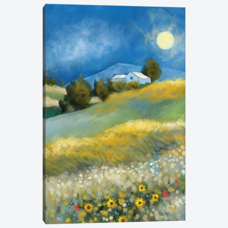 Sunflower Sunrise Canvas Print #TLT332} by Thomas Little Canvas Print