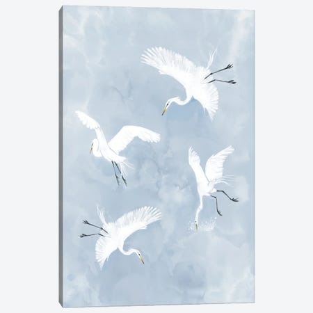 Egrets in Flight Canvas Print #TLT37} by Thomas Little Canvas Art Print