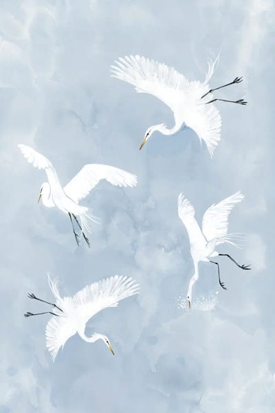 Egrets: Egrets in Flight by Thomas Little