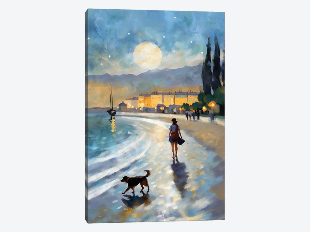 Moonrise In Montpellier by Thomas Little 1-piece Art Print