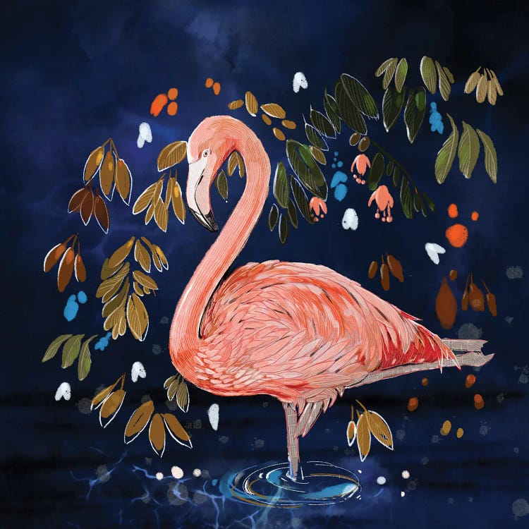 Flamingo Contemplating