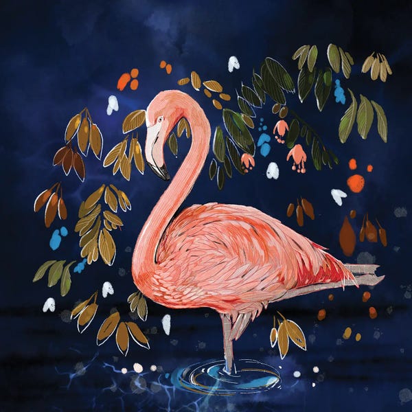 Flamingos: Flamingo Contemplating by Thomas Little