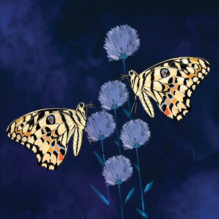 Fluff and Butterflies by Thomas Little wall art