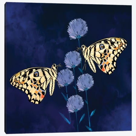 Fluff and Butterflies Canvas Print #TLT41} by Thomas Little Canvas Art Print