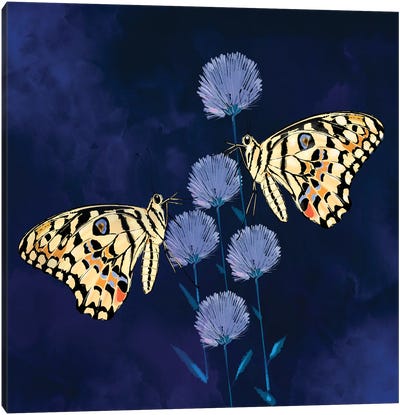 Fluff and Butterflies Canvas Art Print - Thomas Little