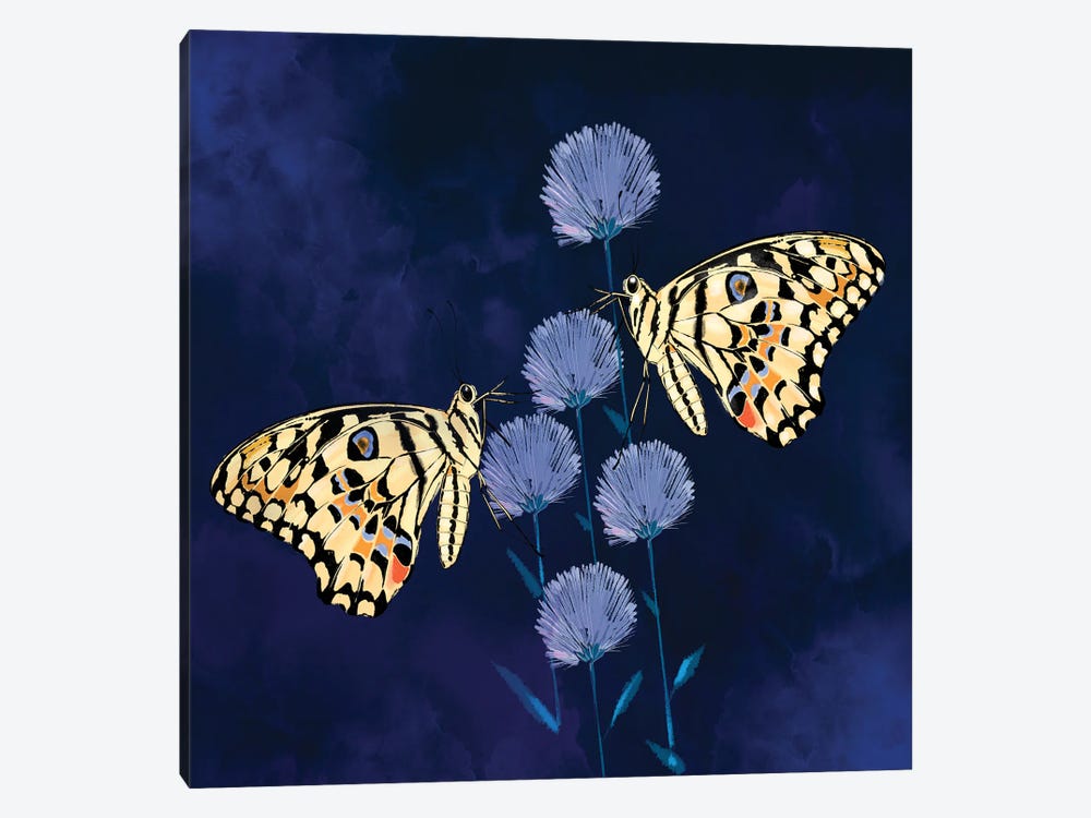 Fluff and Butterflies by Thomas Little 1-piece Canvas Wall Art