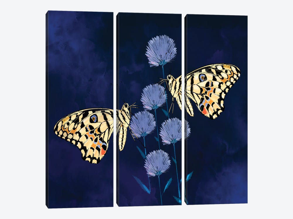 Fluff and Butterflies by Thomas Little 3-piece Canvas Wall Art