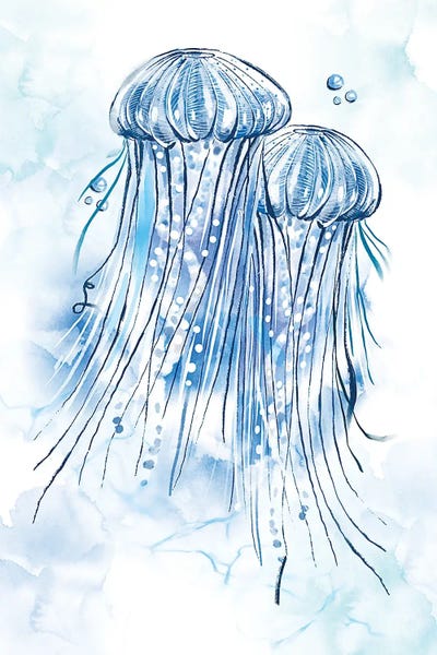 Jellyfish: Fluid Jellies by Thomas Little