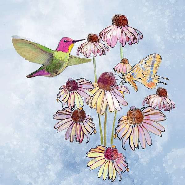 Hummingbirds: Flutter by Thomas Little