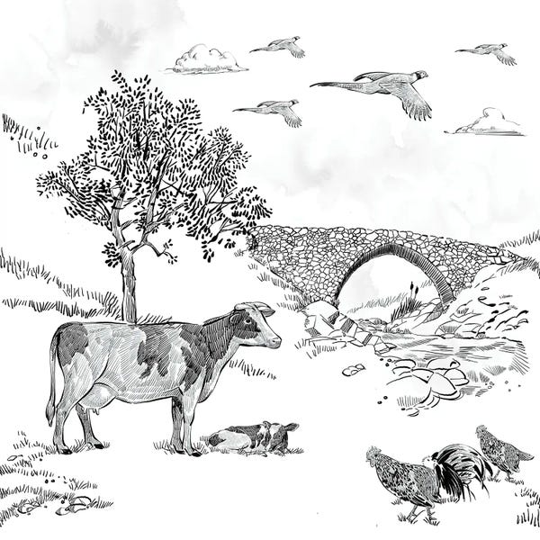 Thomas Little: French Country Toile by Thomas Little