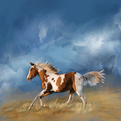 Home Before the Storm by Thomas Little framed canvas print