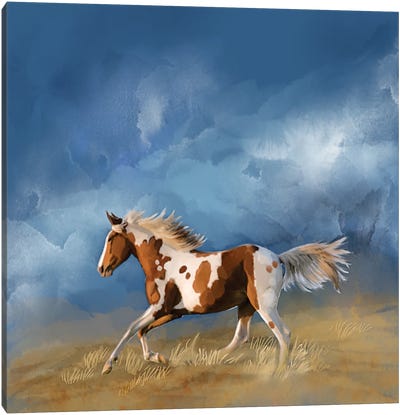Home Before the Storm Canvas Art Print - Thomas Little