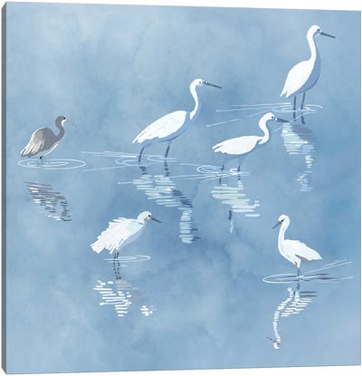 Belize Lagoon Canvas Art Print - Heron Art