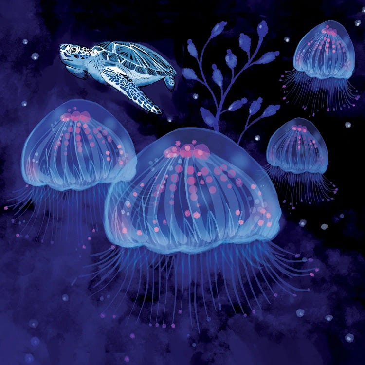 Jellies by Thomas Little wall art