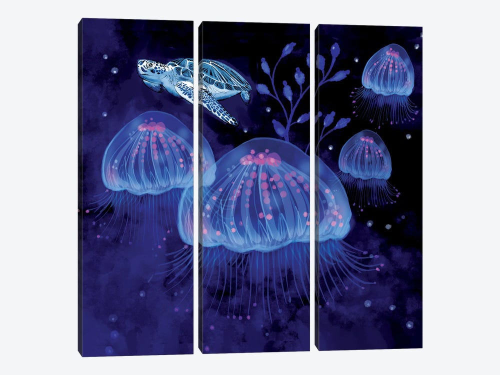 Jellies by Thomas Little 3-piece Art Print