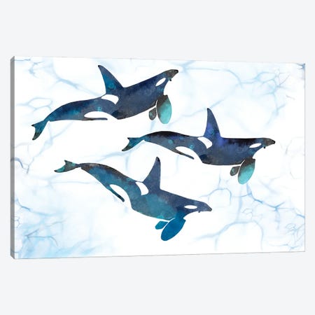 Killer Whales in Motion Canvas Print #TLT53} by Thomas Little Canvas Art