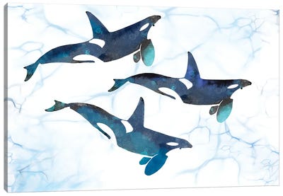 Killer Whales in Motion Canvas Art Print - Thomas Little