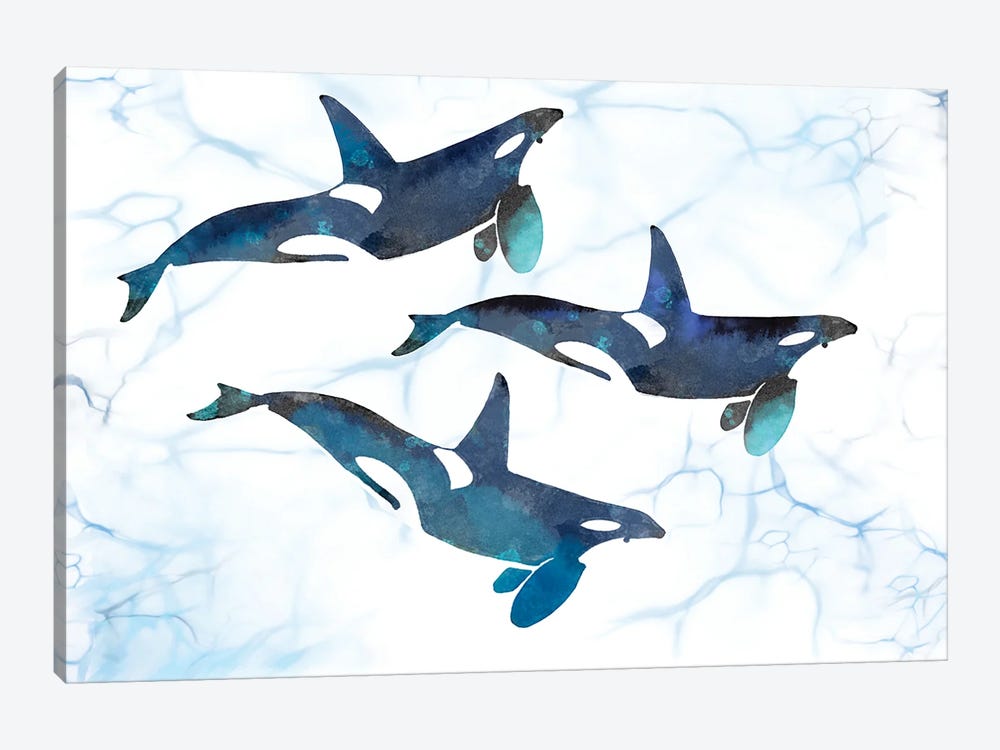 Killer Whales in Motion by Thomas Little 1-piece Canvas Print