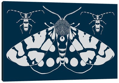 Butterfly Art: Canvas Prints & Wall Art