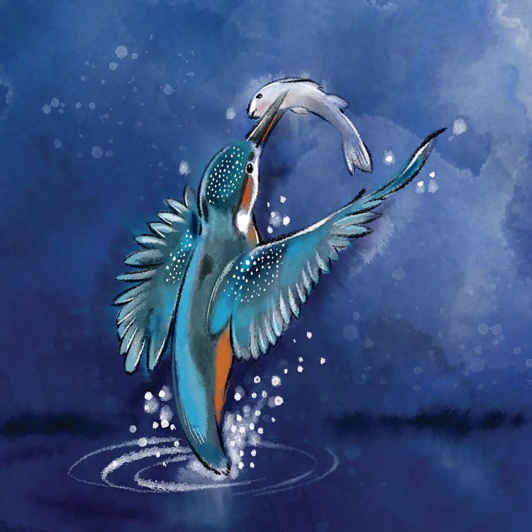 Kingfisher Rising by Thomas Little wall art