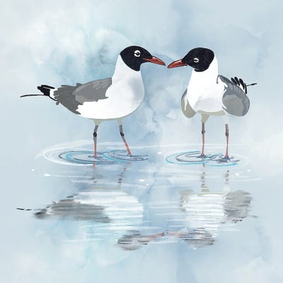 Kissing Laughing Gulls by Thomas Little framed wall art