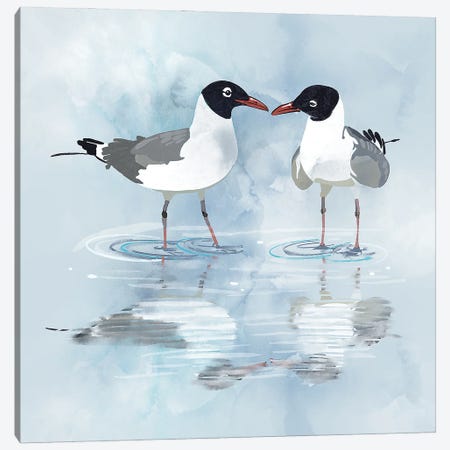 Kissing Laughing Gulls Canvas Print #TLT56} by Thomas Little Art Print
