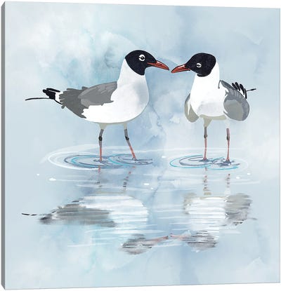 Kissing Laughing Gulls Canvas Art Print - Gull & Seagull Art