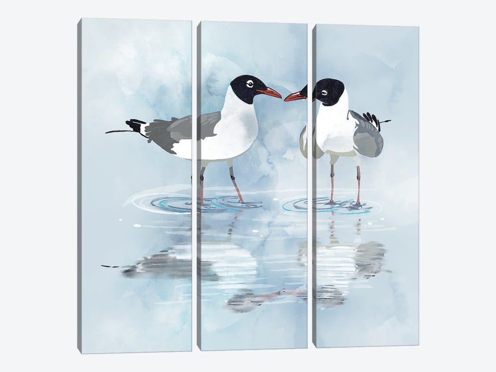 Kissing Laughing Gulls by Thomas Little 3-piece Canvas Art