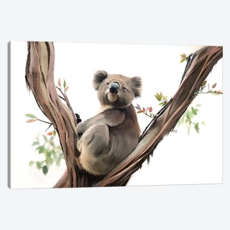 Koala Contemplating Canvas Print #TLT58} by Thomas Little Canvas Artwork