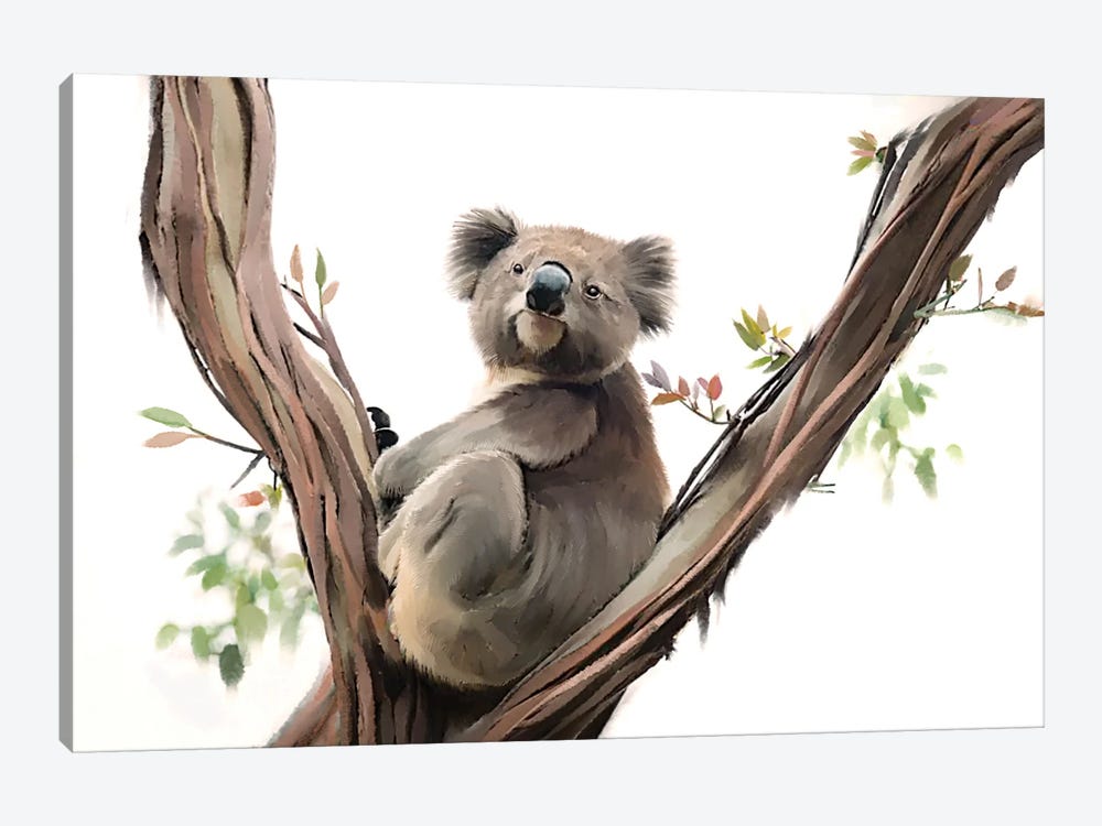 Koala Contemplating by Thomas Little 1-piece Canvas Artwork