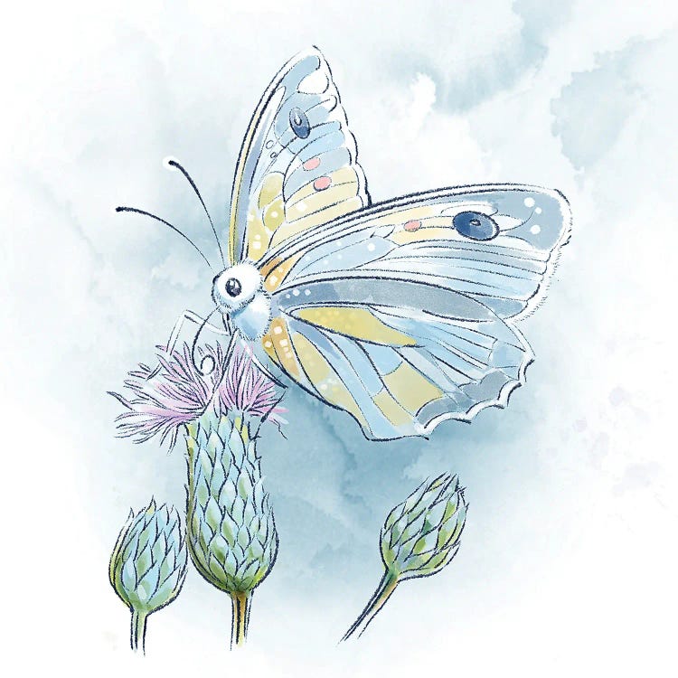 Lightly Lands the Butterfly