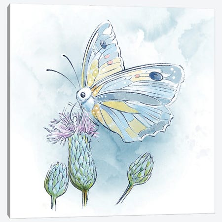 Lightly Lands the Butterfly Canvas Print #TLT61} by Thomas Little Canvas Art Print