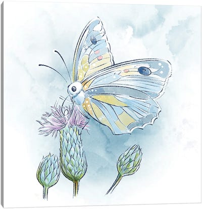 Lightly Lands the Butterfly Canvas Art Print - Thomas Little