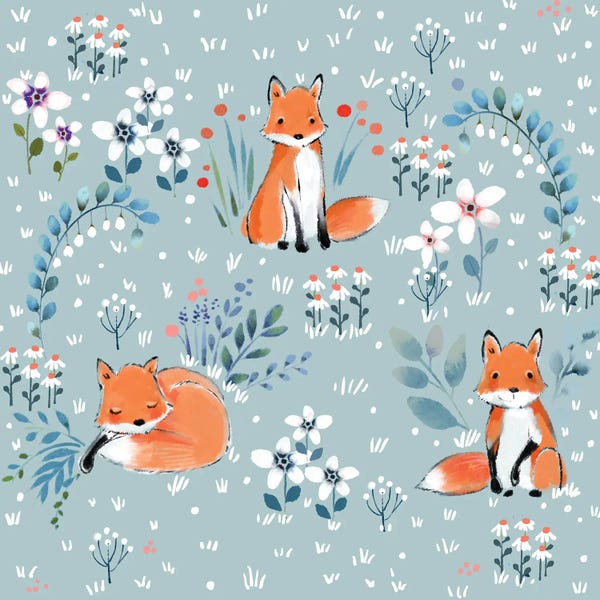 Foxes: Little Fox by Thomas Little