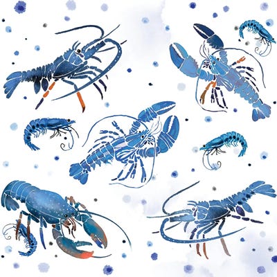 Lobster Love by Thomas Little canvas print