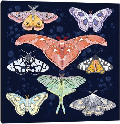Magical Moths Canvas Art Print - Thomas Little