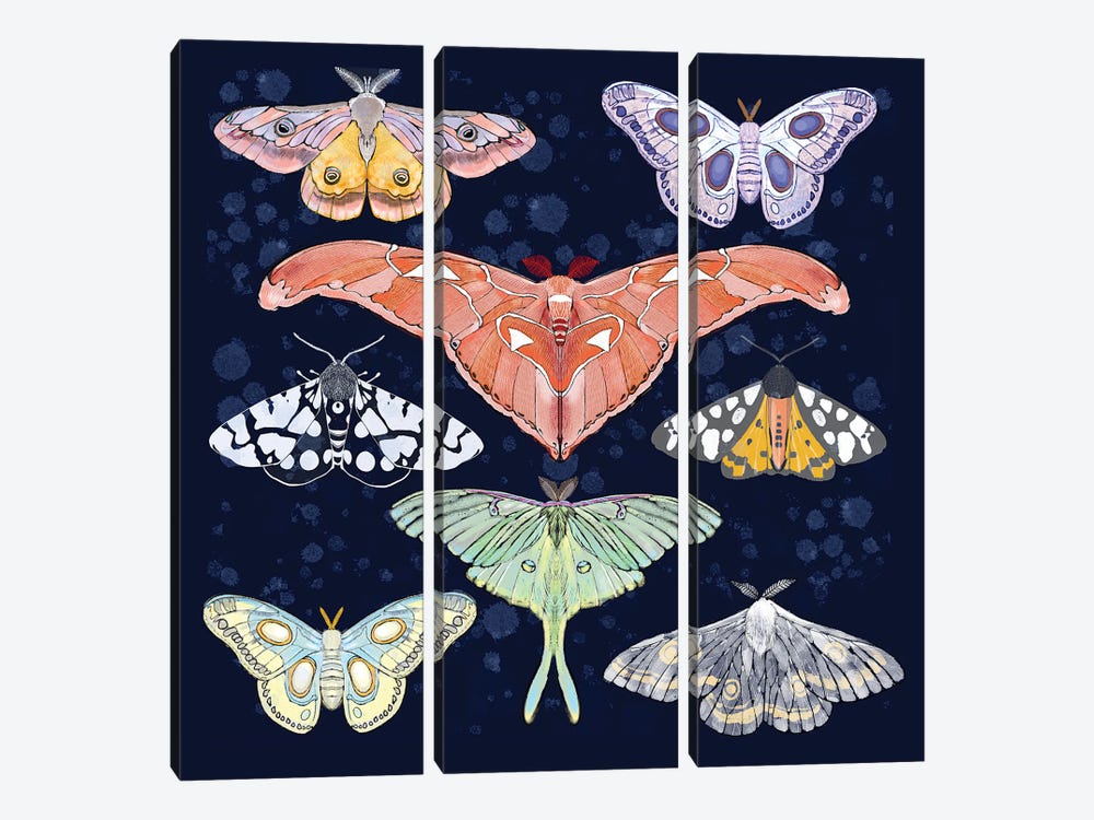 Magical Moths by Thomas Little 3-piece Canvas Artwork