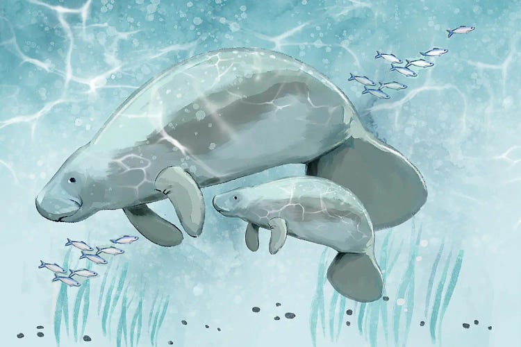 Mama and Baby Manatee by Thomas Little wall art