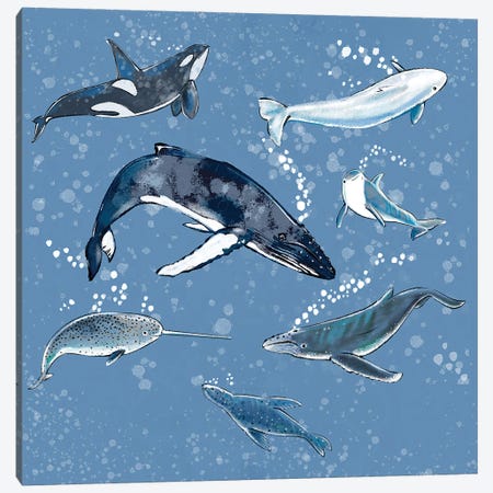 Marine Mammals Canvas Print #TLT69} by Thomas Little Canvas Art Print