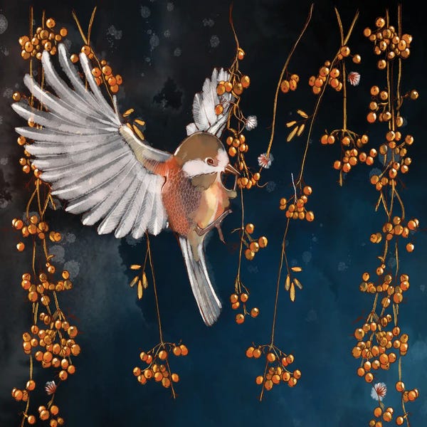 Scandinavian Décor: Bird in the Berries by Thomas Little