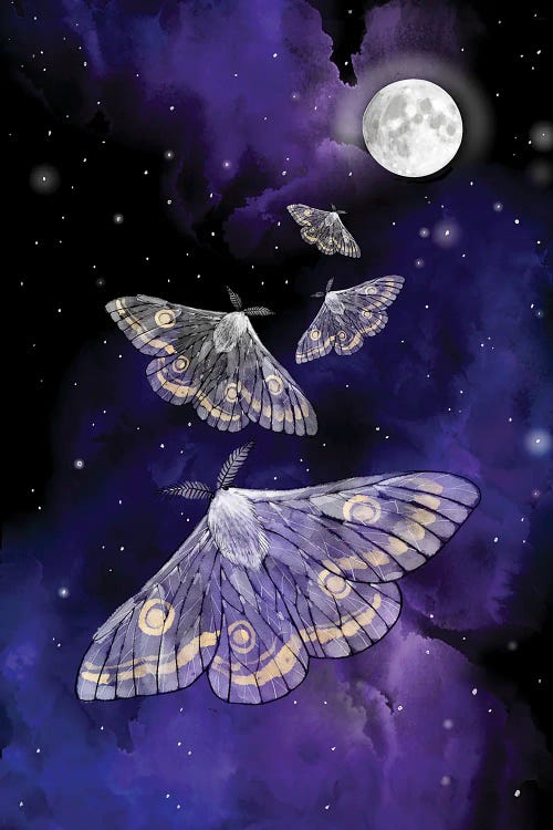 Moon Moths