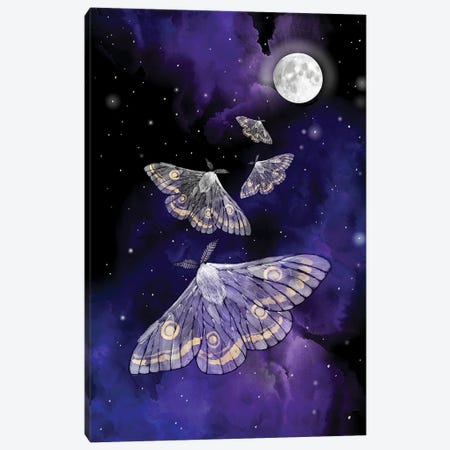 Moon Moths Canvas Print #TLT72} by Thomas Little Canvas Art
