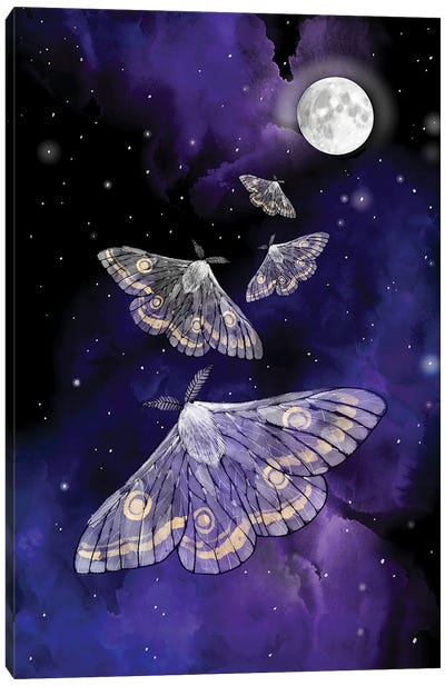 Moon Moths Canvas Art Print - Thomas Little
