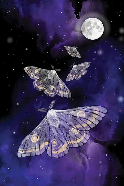 Moths: Moon Moths by Thomas Little