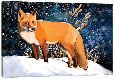Morning Snowfall Canvas Art Print - Thomas Little