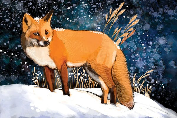 Snow: Morning Snowfall by Thomas Little