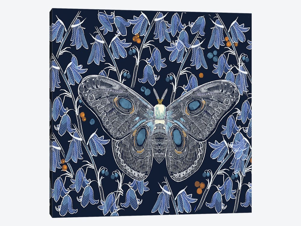 Moth Study by Thomas Little 1-piece Canvas Print