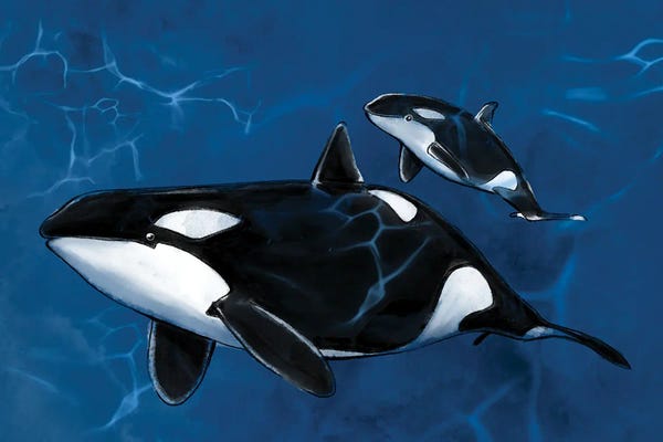 Orcas: Nurture in the Deep by Thomas Little