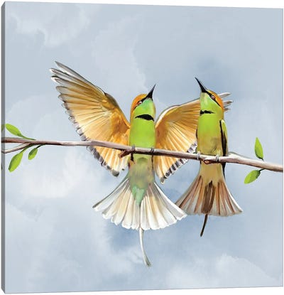 Birdies Canvas Art Print - Thomas Little