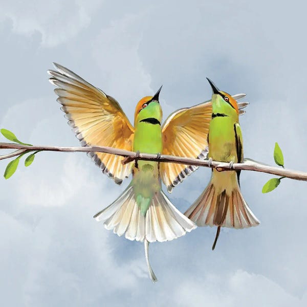Thomas Little: Birdies by Thomas Little